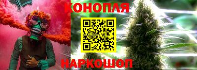 гидропоника Краснокаменск