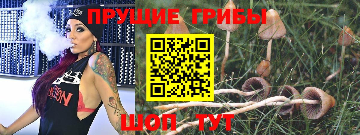 Когалым  Галлюциногенные грибы мицелий  Вход с VPN 