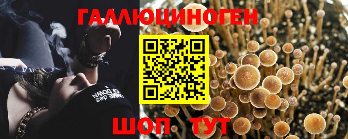 Галлюциногенные грибы Cubensis Когалым